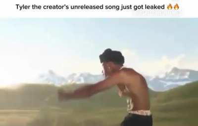 Did Tyler cook with this?