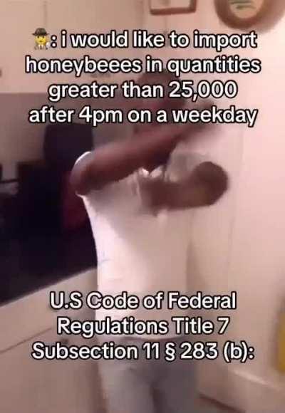 Loser city regulations 