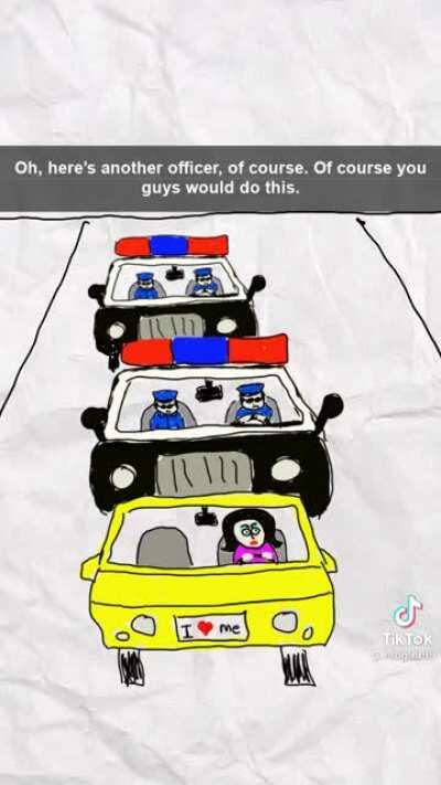 calling cops on cops, sounds about right