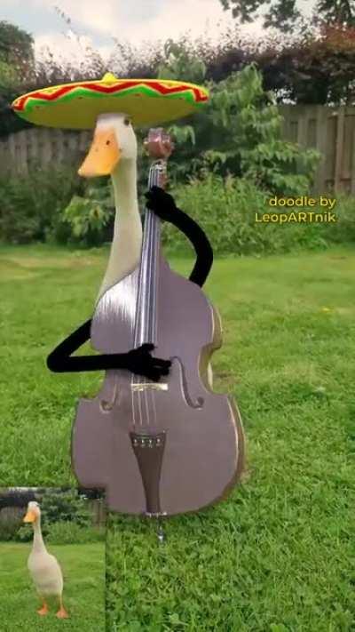 Aqui les dejo un regalo mis Mujicanos di oro