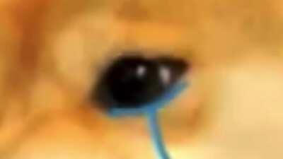 I spent too much time on this