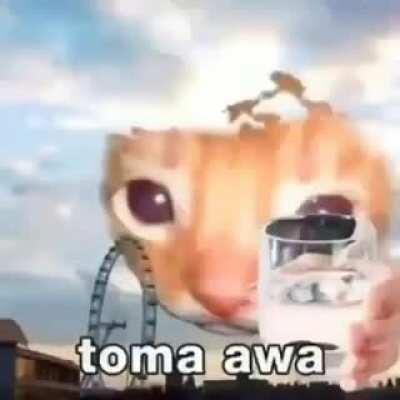 hidratar é importante