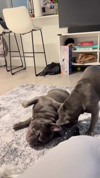 Morning rolls for big boy