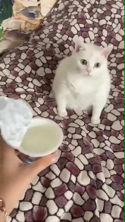 That smells disgusting