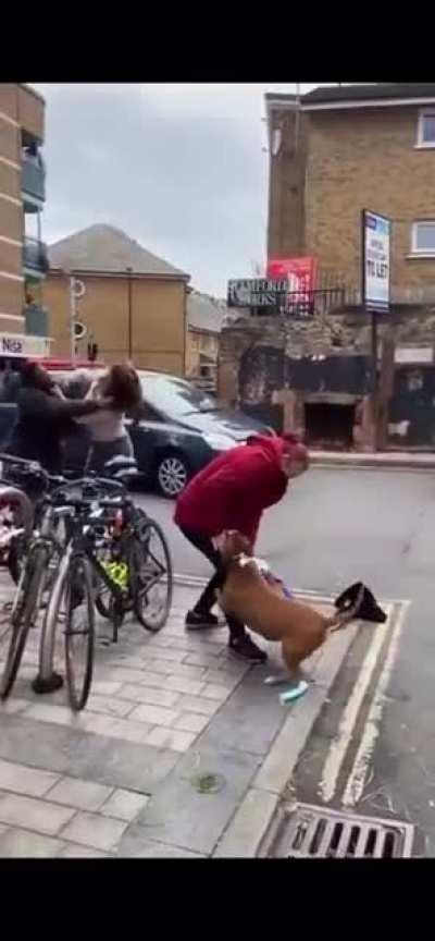 Lady gets mugged, also there’s a dog and honking