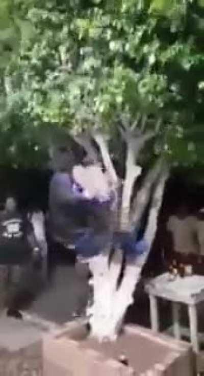 What in the actual fk