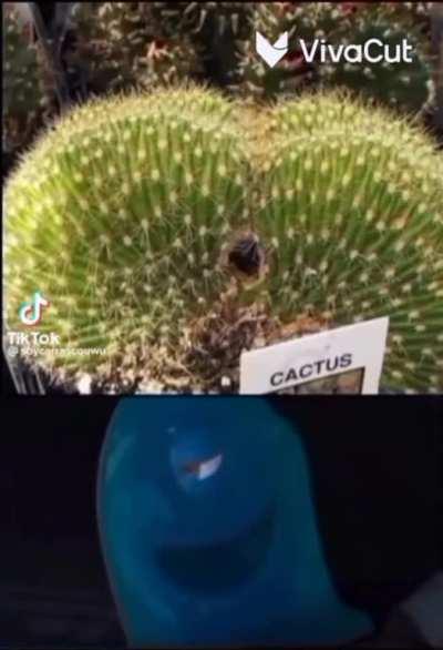 BeelcitosMemes - Video #8656