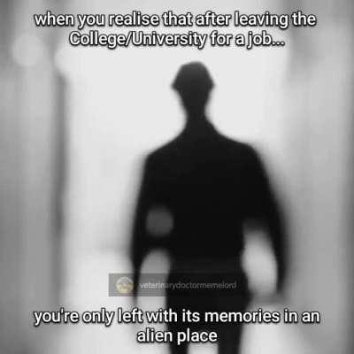 Hope time heals everything...