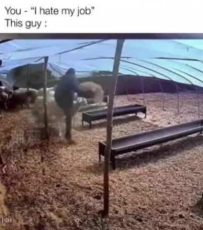 He is really going after his life