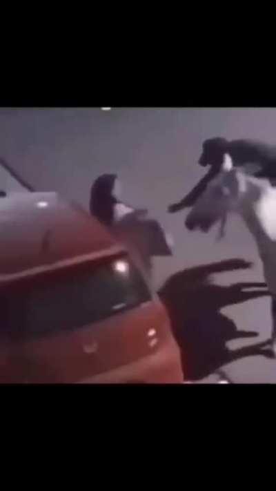 Time traveller moves the chair, Le timeline: