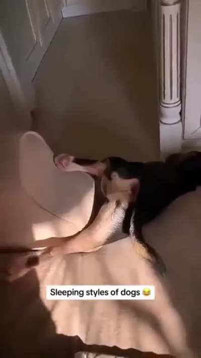 some of them are just hilarious