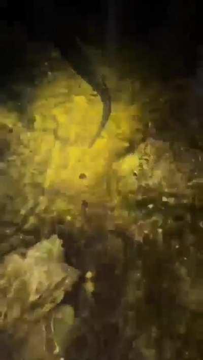 RDR2 players the moment after GTA6 released