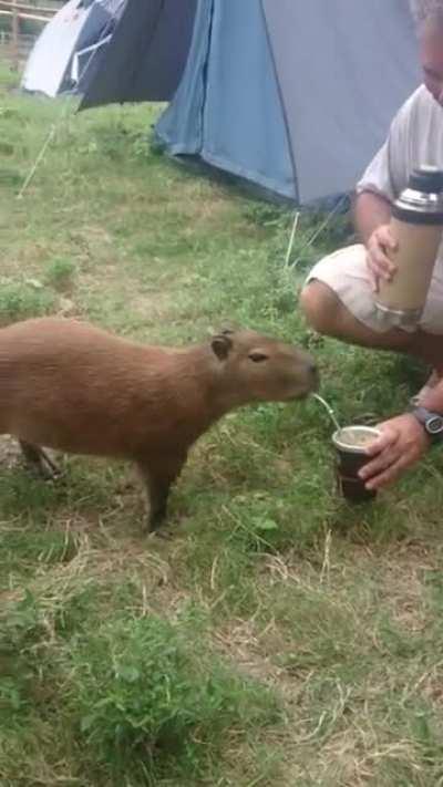 No s&eacute; si es repost, pero lo dejo por ac&aacute;. PD: Me lo recomend&oacute; YouTube