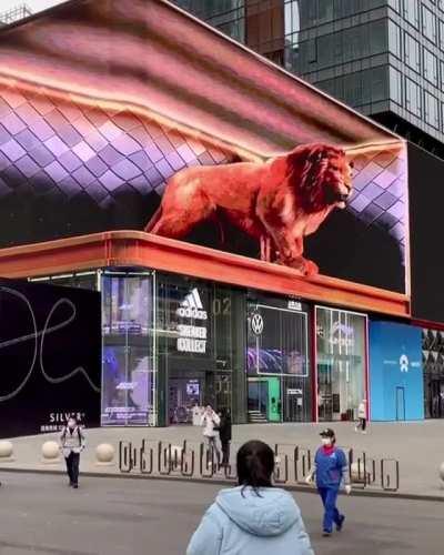 Impressive Immersive 3D Illusion