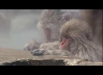 Похмелялись вчера? И опять напились, ну признавайтесь, признавайтесь! Пожалуй, помогу вам, чай не чужие :)