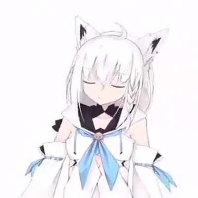 Amo esse vídeo kkkkkkkkkkkk... (e ficou rindo pela eternidade) (Press F to pay respects)