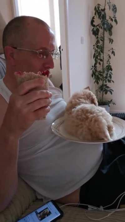 either he wants a sandwich or he thinks he is a sandwich.