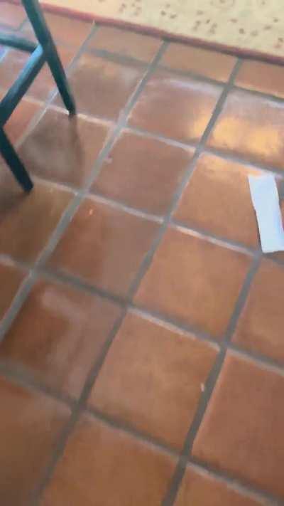 Made some ramen noodles