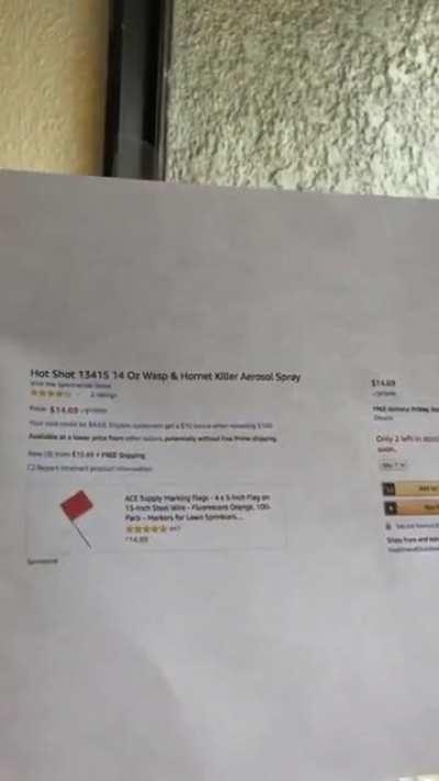 Consider this legal notice of eviction wasps