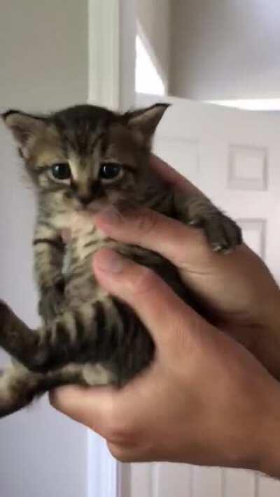 I wonder who she’s trying to signal?