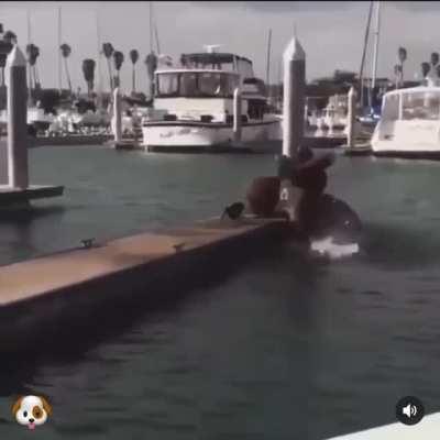 I am the dockmaster now