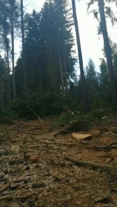 Ignoring guy with chainsaw