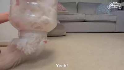 Bottled cat, good for preservation in this time of crisis.