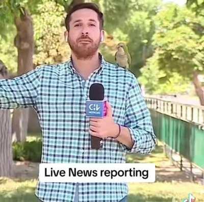 Ruined Disney princess moment