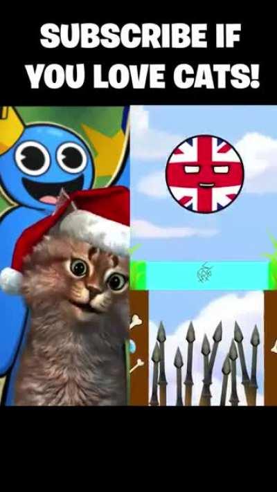 yоur subscribe is: damn if you love cats