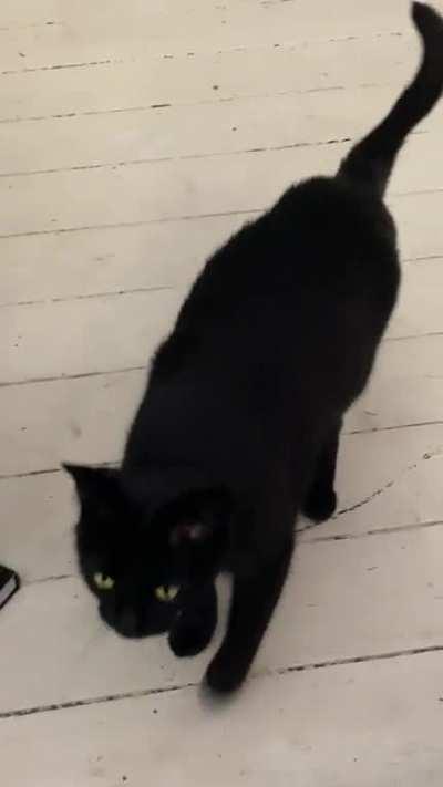 Brahm seems to belong here