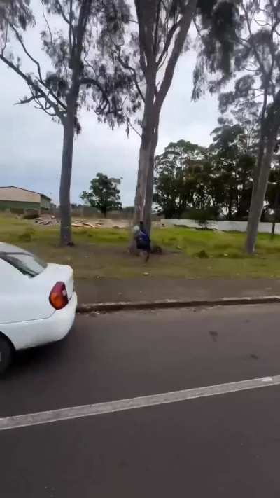 This garbage collector proves joy isn’t about what you do, but how you do it.