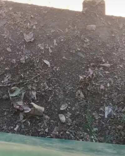 When aiming for the home run.