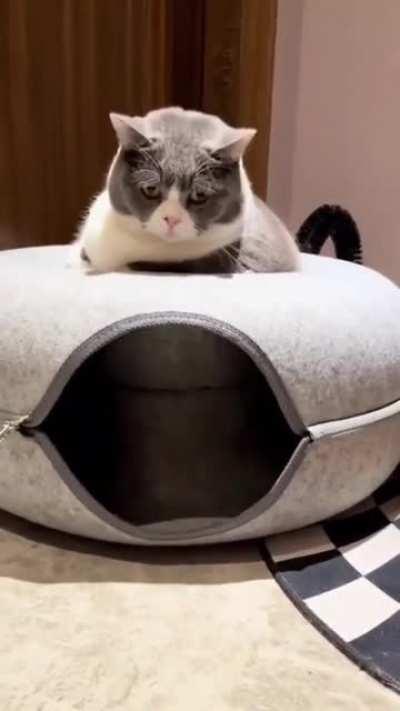 Small Hadron Collider