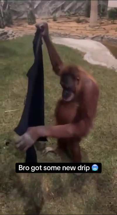 Politest robbery ever