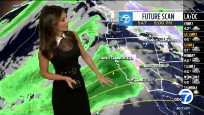 Brianna Ruffalo (abc7)