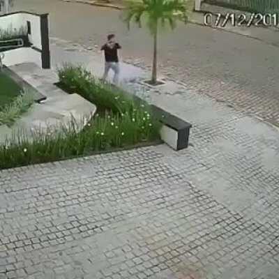 Cool kid destroys tree because he's cool