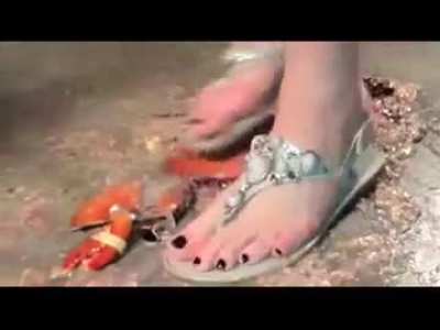 Veronika vs. Lobster