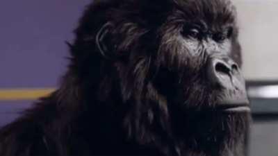 My sneakiest rickroll.