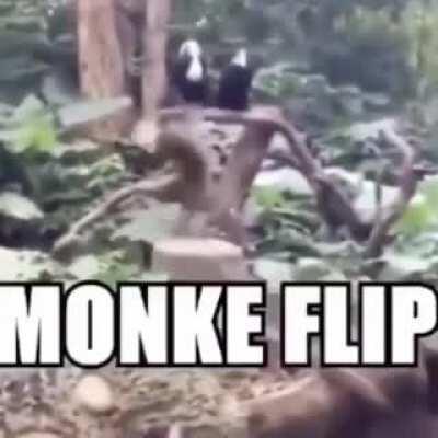 MONKE has joined the fight