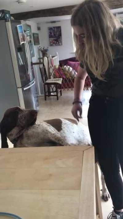 Belly rubs are all we are to them