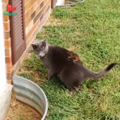 What..? Where the fuk..?