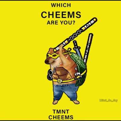 Which Cheems are you?