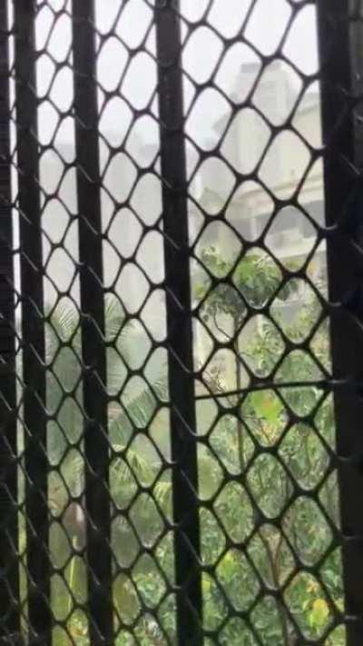 Monsoon just hit Mumbai, India. Amazing weather with a cool temperature. Today’s a good day :))