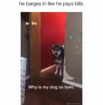 Who closed the door?