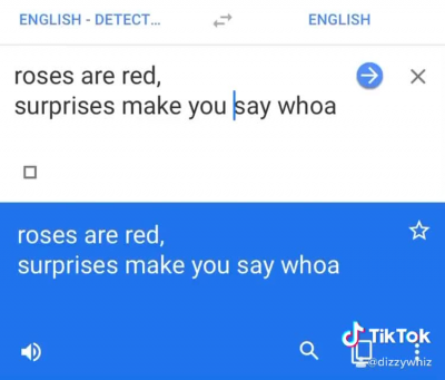 Had to hop on this Tik Tok trend with one of my very favorite moments