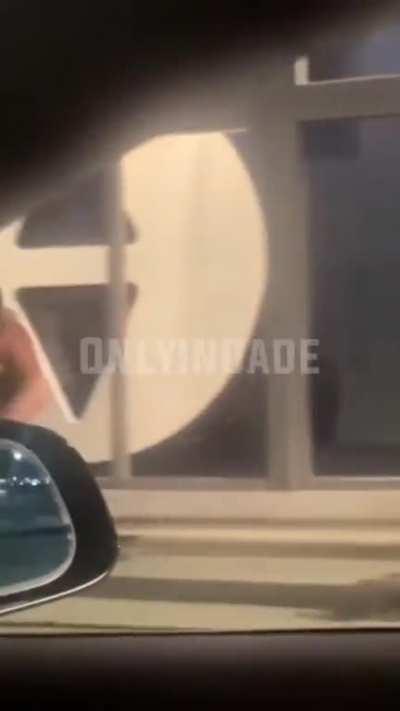 Wordington Terminator 