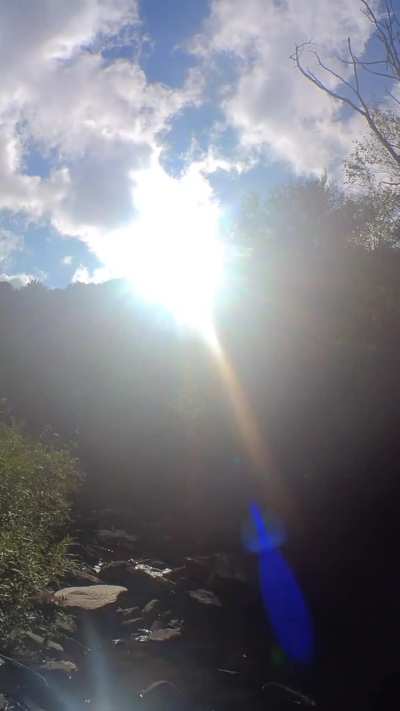 Bubbling Spring Branch,North Carolina September 4, 2024