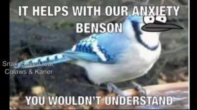 Mordecai and Rigby smoke Weed