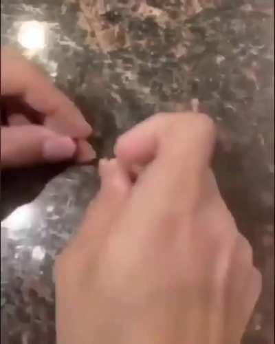 made a spotify code from sausage