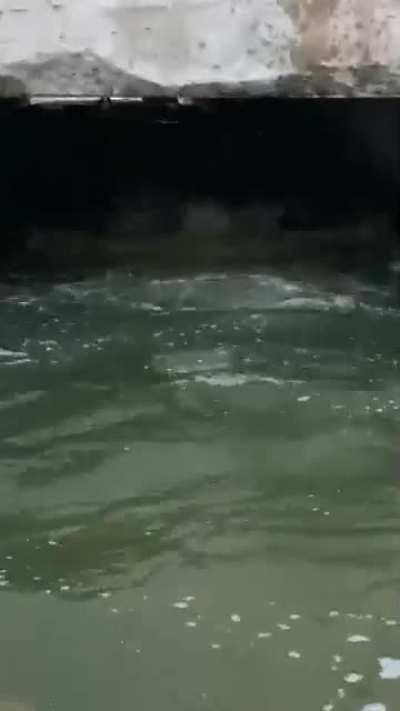 Crossing the road through the underpass